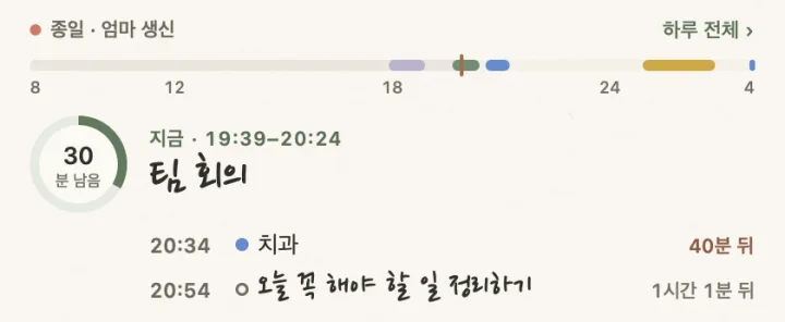 하루 띠 3차: 얇은 막대, 30분 남음 동그라미, 큰 손글씨 ‘팀 회의’, 다음 두 줄